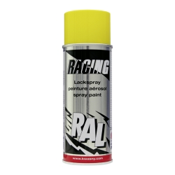 Racing RAL Farbspray glänzend