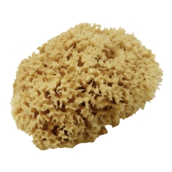 Schuller MAGIC SPONGE Naturschwamm